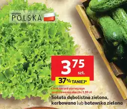 Auchan Ogórki gruntowe luzem oferta