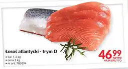 Makro Ryba łosoś atlantycki trym D Makro oferta