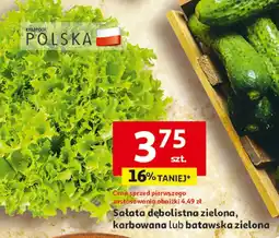 Auchan Sałata dębolistna zielona, karbowana Auchan oferta