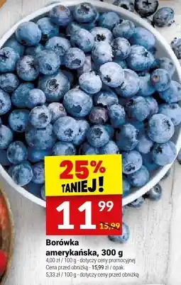 Twój Market Borówka amerykańska, 300 g Twój Market oferta