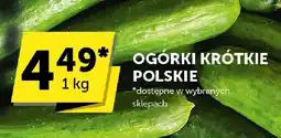Euro Sklep Ogórki krótkie polskie Euro Sklep oferta
