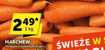 ABC Marchew ABC oferta