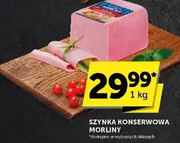 Euro Sklep Szynka konserwowa Morliny oferta