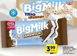 Euro Sklep Lody Big Milk Sandwich Algida oferta