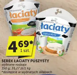 ABC Serek łaciaty puszysty Łaciaty oferta