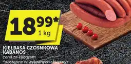 Euro Sklep Kiełbasa czosnkowa Kabanos Euro Sklep oferta