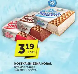 Euro Sklep Lody Kostka Śnieżna Koral oferta