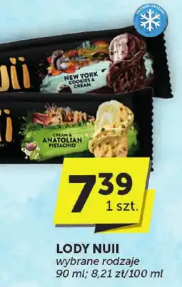 Groszek Lody Nuii oferta