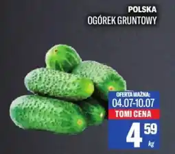 TomiMarkt Ogórek gruntowy oferta