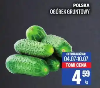 TomiMarkt Ogórek gruntowy oferta