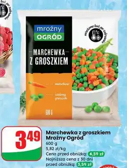 Dino Marchewka z groszkiem Mroźny Ogród oferta