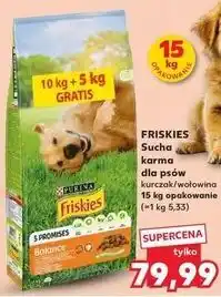 Kaufland Karma dla psa balance Purina Friskies oferta