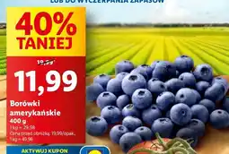 Lidl Borówki amerykańskie Lidl oferta
