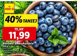 Lidl Borówki amerykańskie Lidl oferta