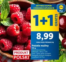 Lidl Maliny polskie Lidl oferta
