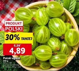 Lidl Agrest polski Lidl oferta