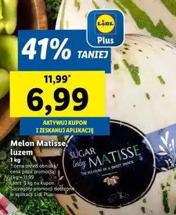 Lidl Melon Matisse Lidl oferta