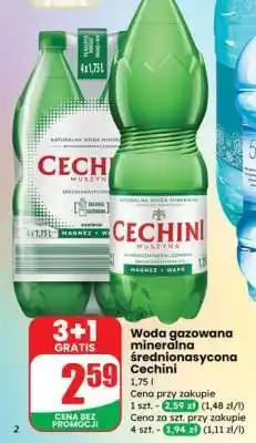 Dino Woda gazowana mineralna średnionasycona Cechini oferta