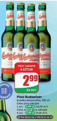 Dino Piwo Budweiser oferta