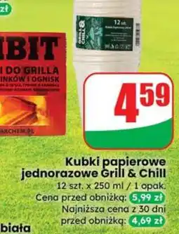 Dino Kubki papierowe jednorazowe Grill & Chill oferta