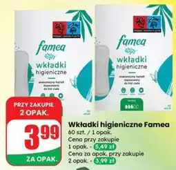 Dino Wkładki higieniczne Famea oferta