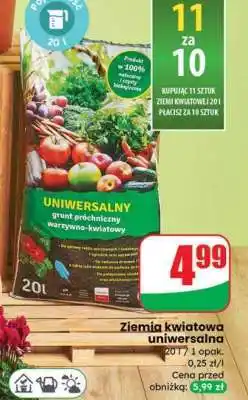 Dino Ziemia kwiatowa uniwersalna oferta