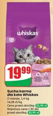 Dino Sucha karma dla kota WHISKAS oferta