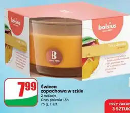 Dino Świeca zapachowa w szkle oferta