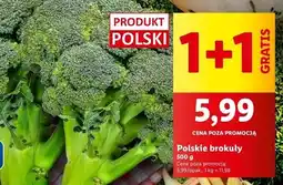 Lidl Brokuł oferta