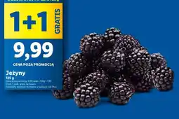 Lidl Jeżyny oferta