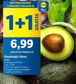 Lidl Awokado hass oferta