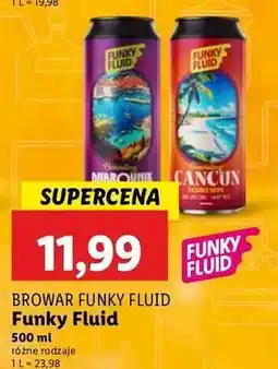 Lidl Piwo dubrovnik Funky Fluid oferta
