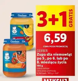 Lidl Zupka pomidorowa z ryżem i indykiem Gerber oferta