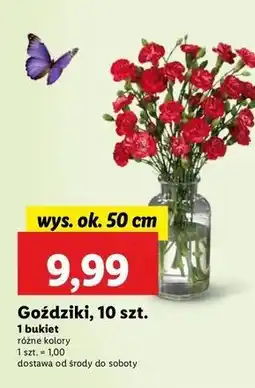 Lidl Goździki bukiet oferta
