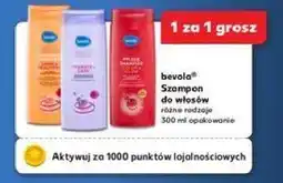 Kaufland Szampon color & shine Bevola oferta
