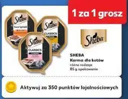 Kaufland Karma potrawka z indykiem i kurczakiem Sheba Sauce Speciale oferta