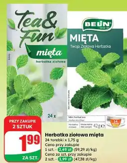 Dino Mięta Belin oferta