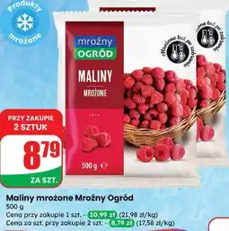 Dino Maliny Mroźny Ogród oferta