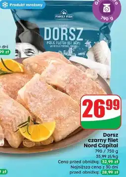 Dino Dorsz czarny filety Family Fish oferta
