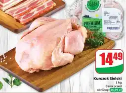 Dino Kurczak premium Sielski oferta