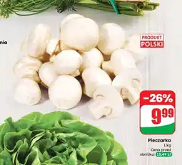 Dino Pieczarki oferta