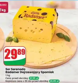 Dino Ser radamer Serenada oferta