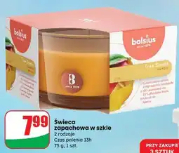 Dino Świeca w szkle 95/95 mango Bolsius oferta