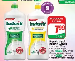 Dino Płyn do mycia naczyń miętowy Ludwik oferta
