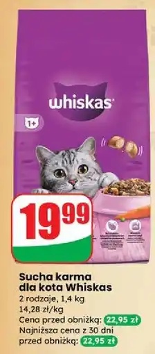 Dino Karma dla kota z kurczakiem Whiskas oferta