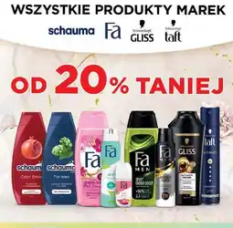 Dino Lakier do włosów Taft Ultimate oferta