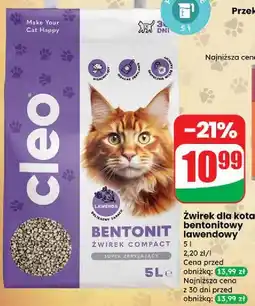 Dino Żwirek bentonitowy Cleo oferta