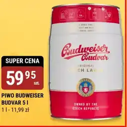 bi1 PIWO BUDWEISER BUDVAR oferta