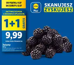 Lidl Jeżyny Lidl oferta