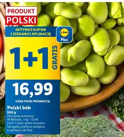 Lidl Bób polski Lidl oferta